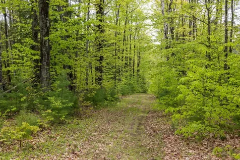 Map 7, Lot 8 Patterson Road Wilmot NH 03287