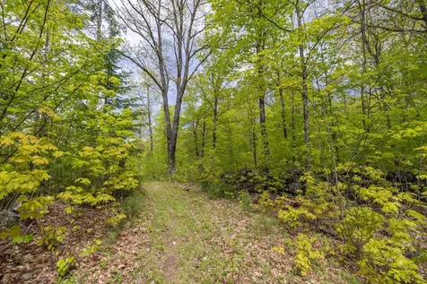 Map 7, Lot 8 Patterson Road Wilmot NH 03287
