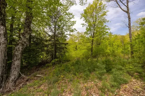 Map 7, Lot 8 Patterson Road Wilmot NH 03287