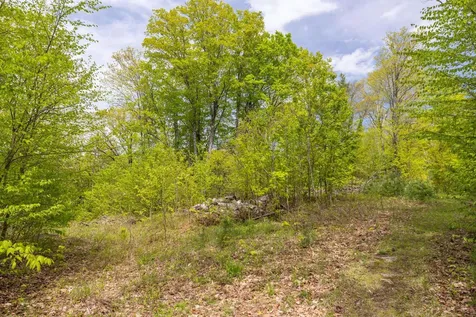 Map 7, Lot 8 Patterson Road Wilmot NH 03287