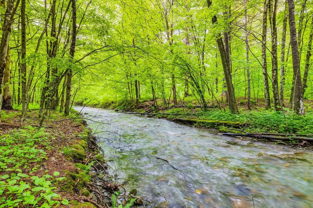 543 Lower Hollow Road Dorset VT 05251