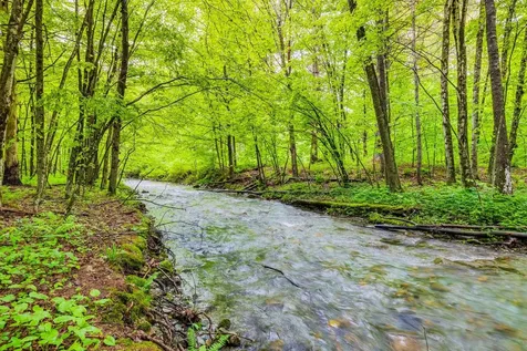 543 Lower Hollow Road Dorset VT 05251