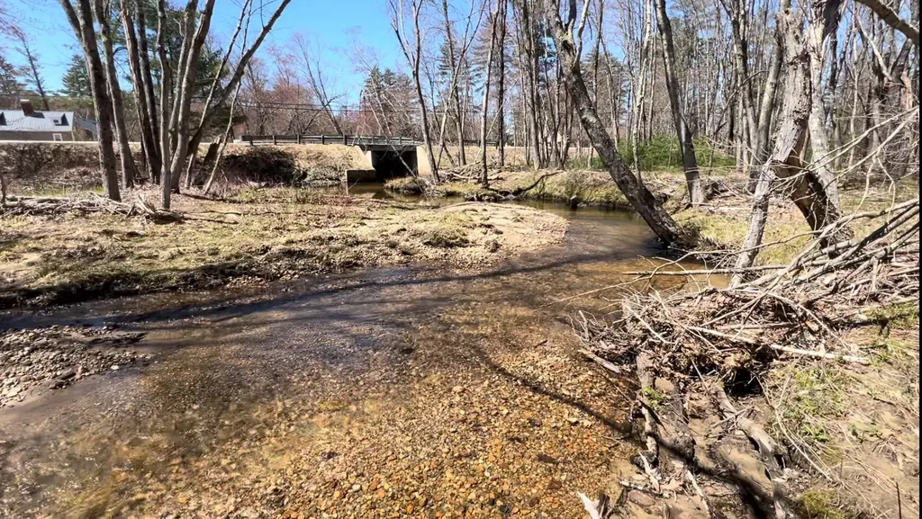 Lot 5 Mayhew Turnpike Bridgewater NH 03222