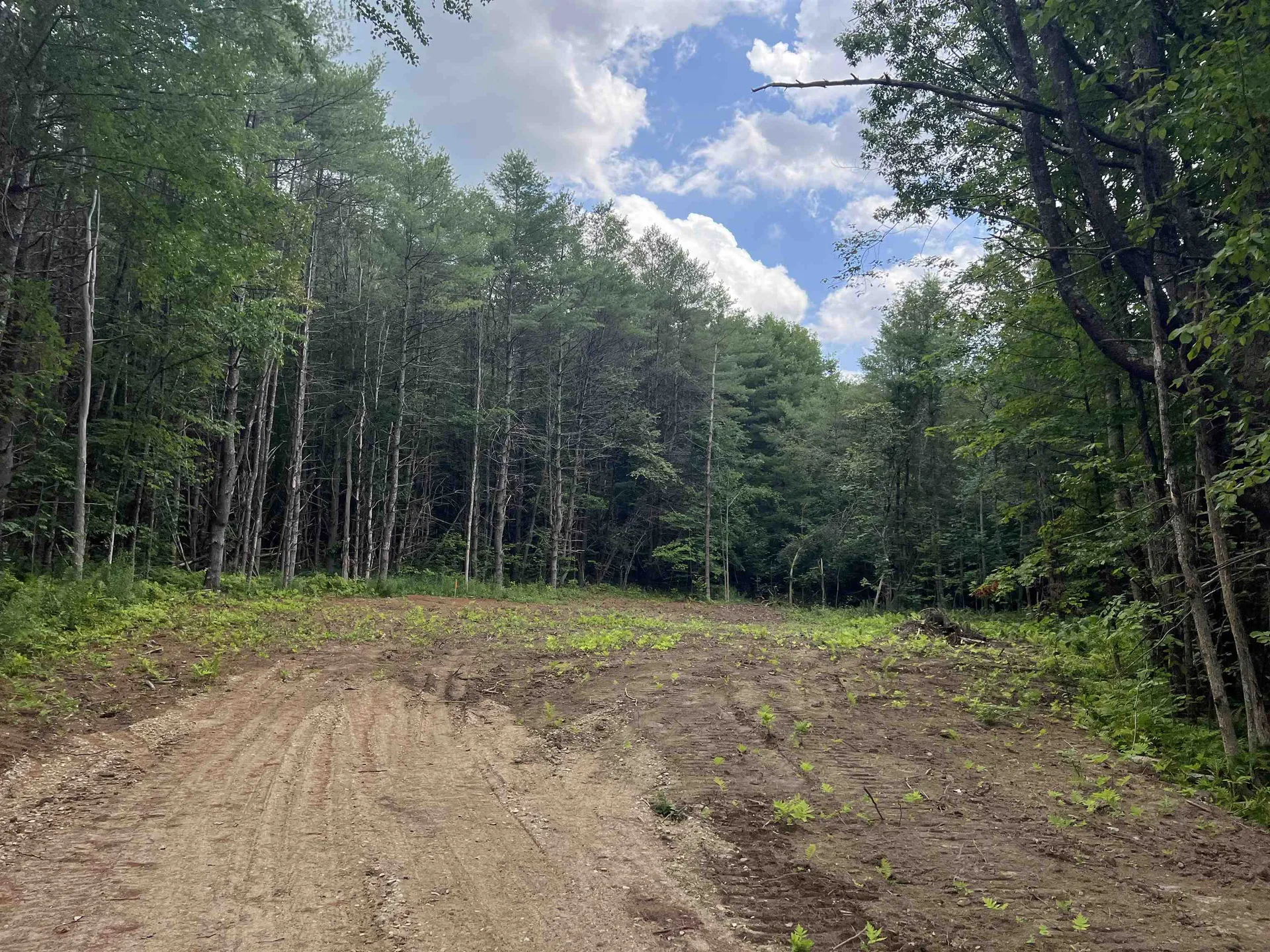 Lot 5 Mayhew Turnpike Bridgewater NH 03222