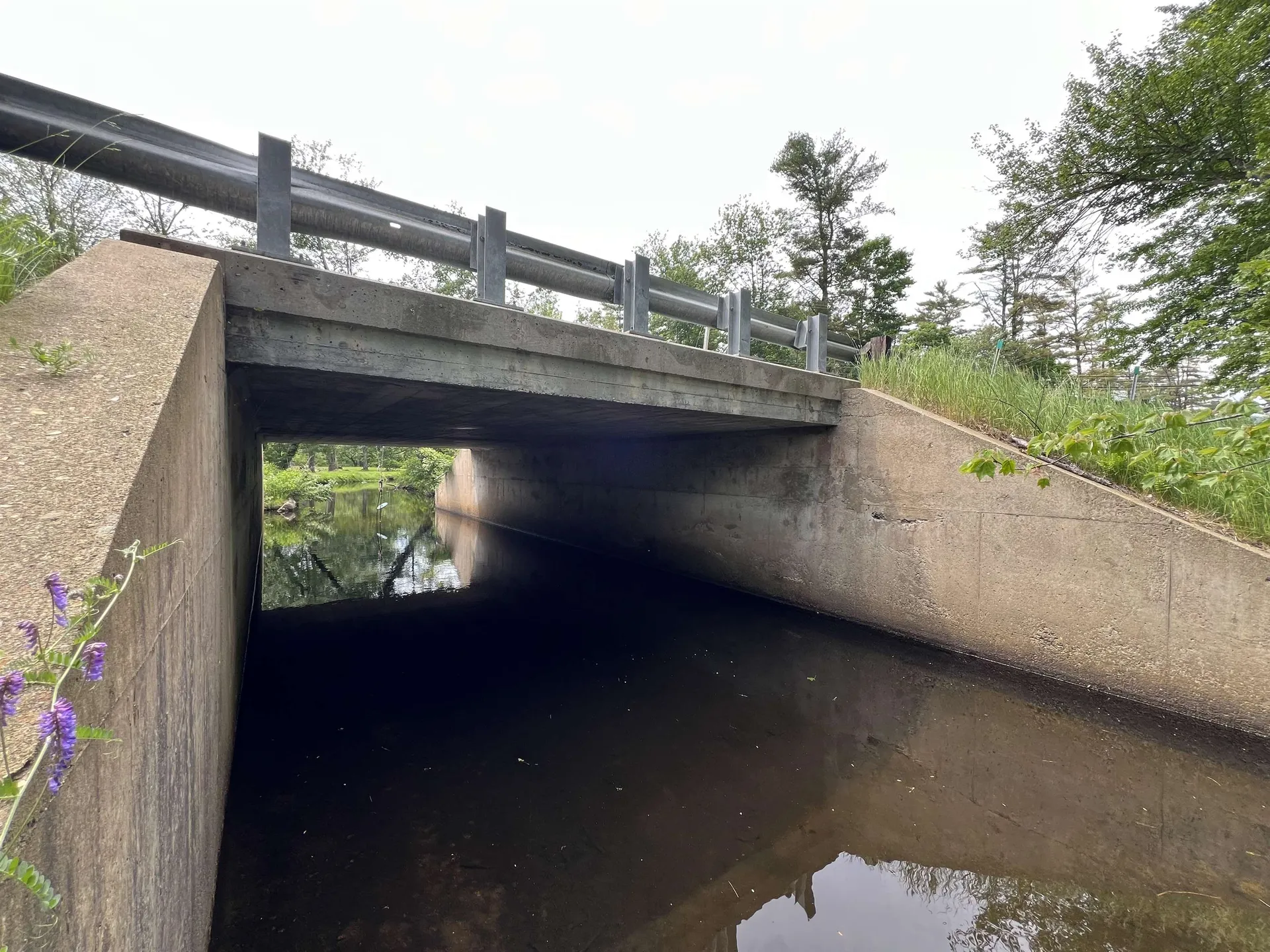 Lot 5 Mayhew Turnpike Bridgewater NH 03222