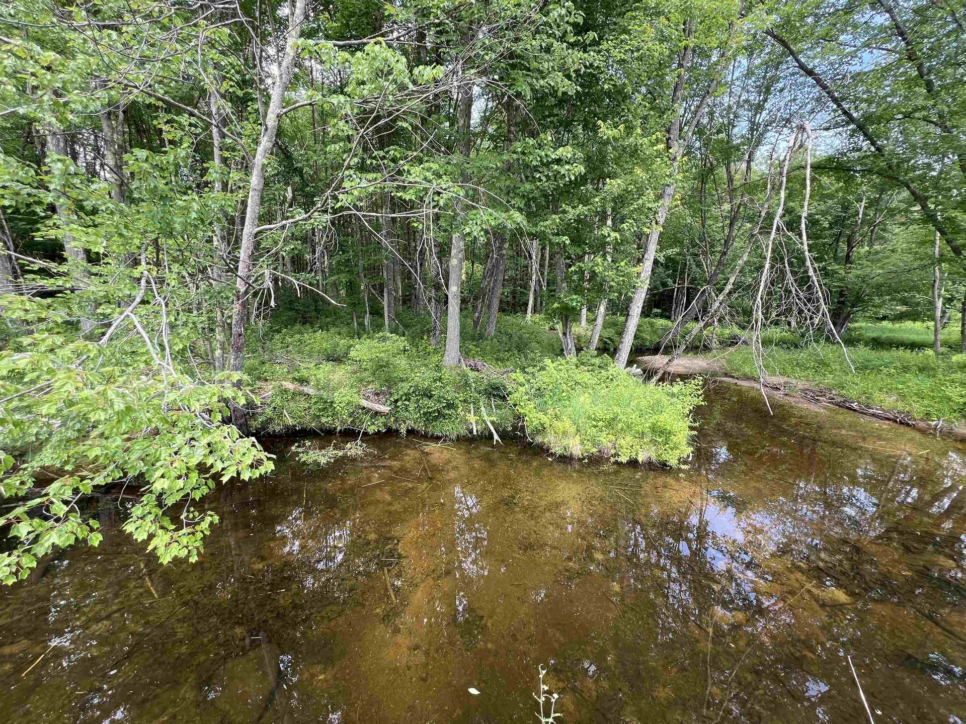 Lot 5 Mayhew Turnpike Bridgewater NH 03222