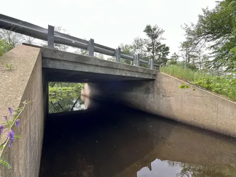 Lot 5 Mayhew Turnpike Bridgewater NH 03222