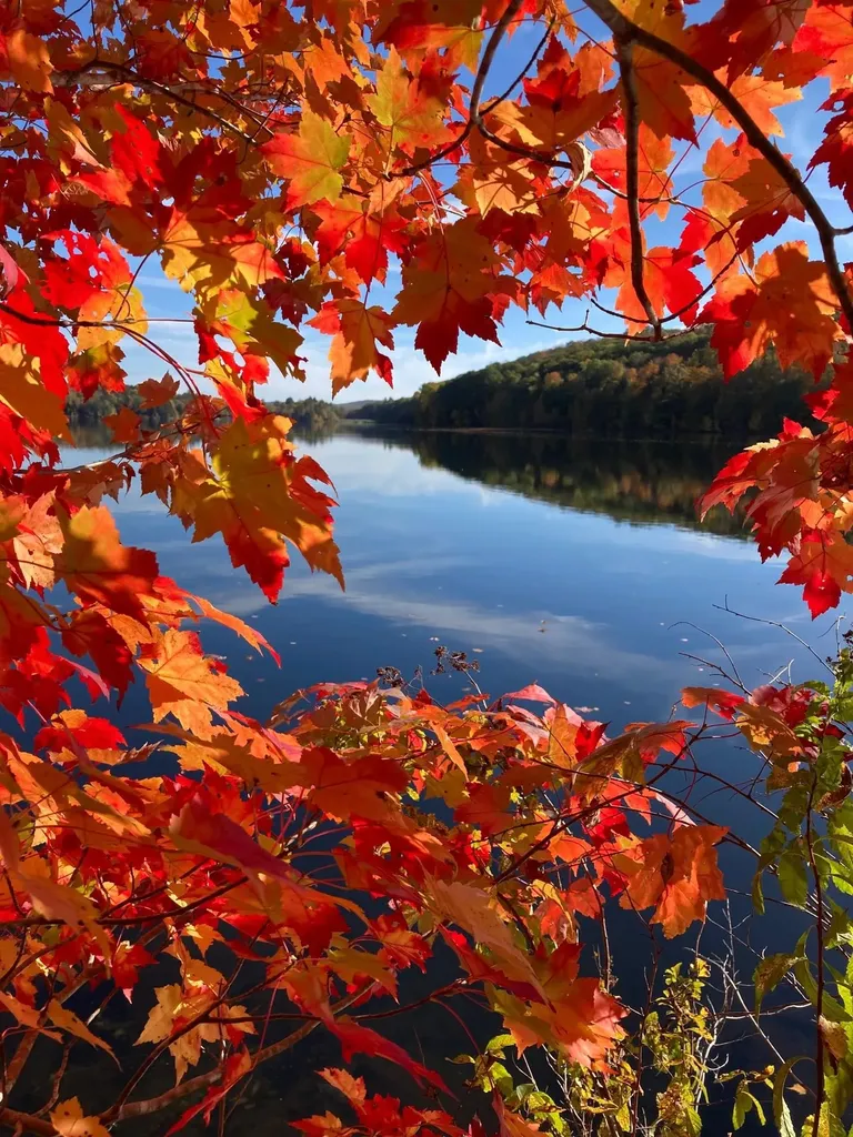 21 Pleasant Drive Grantham NH 03753