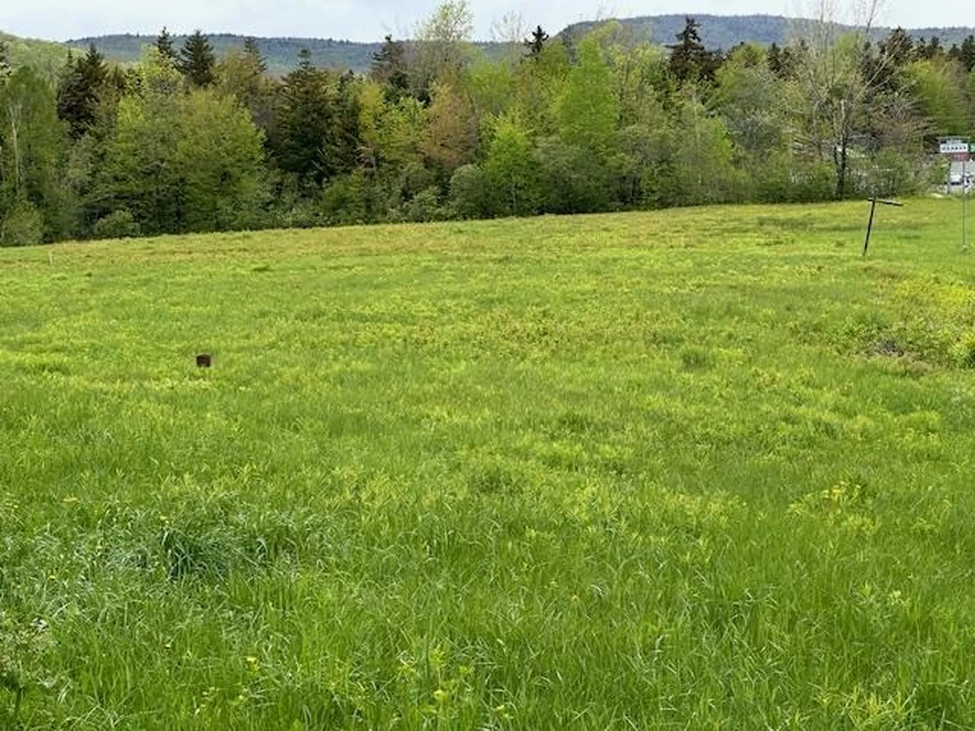 309 Vt Route 100 Dover VT 05356