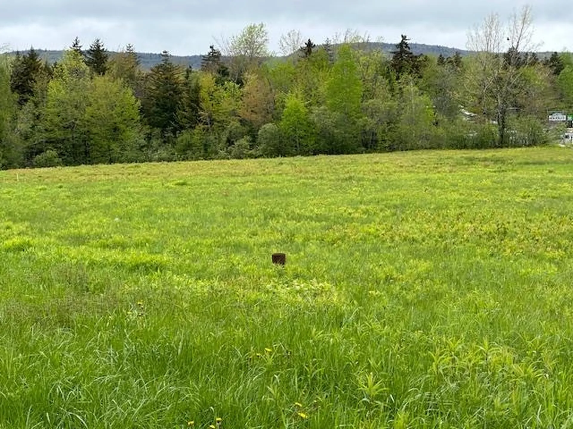 309 Vt Route 100 Dover VT 05356