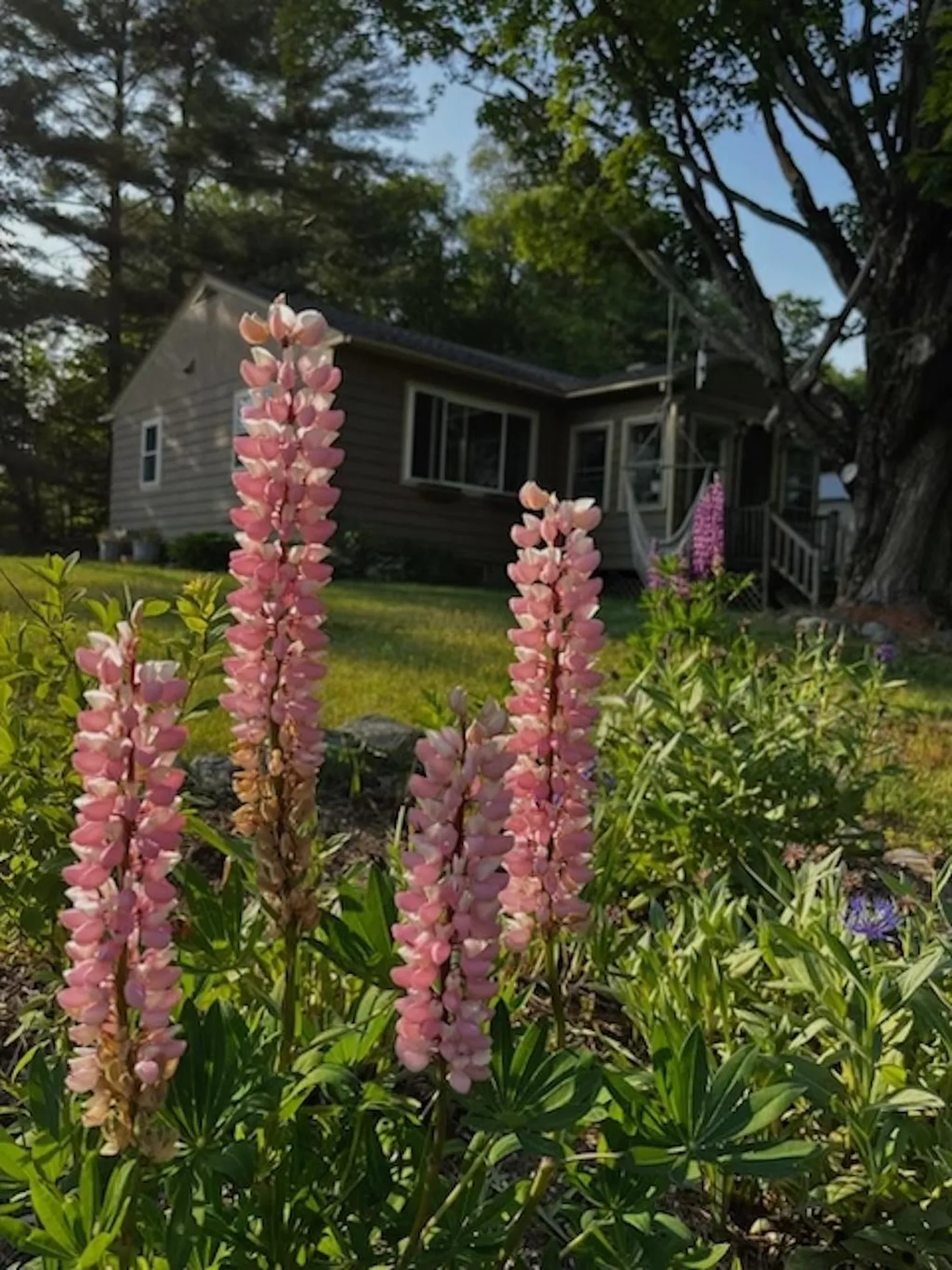 261 Vt 15 E Road Hyde Park VT 05655