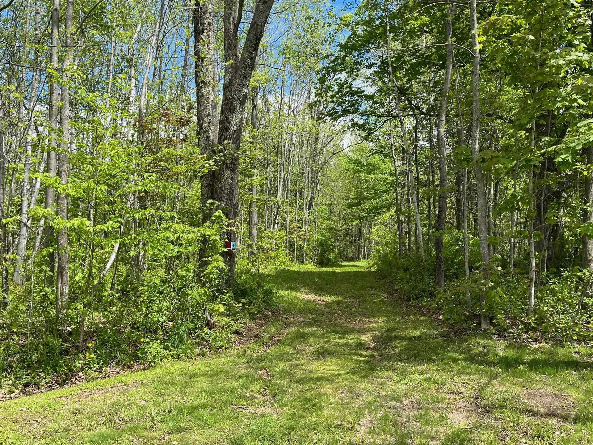 959 Presidential Highway Jefferson NH 03583