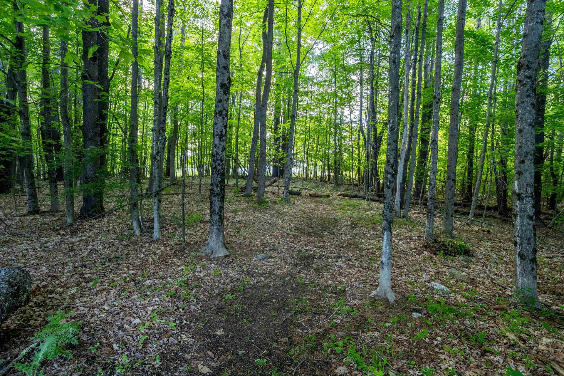 430 Sand Hill Road Peterborough NH 03458
