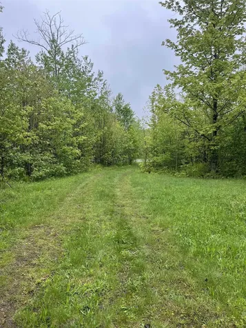 3010 Buck Hill Road Westfield VT 05874