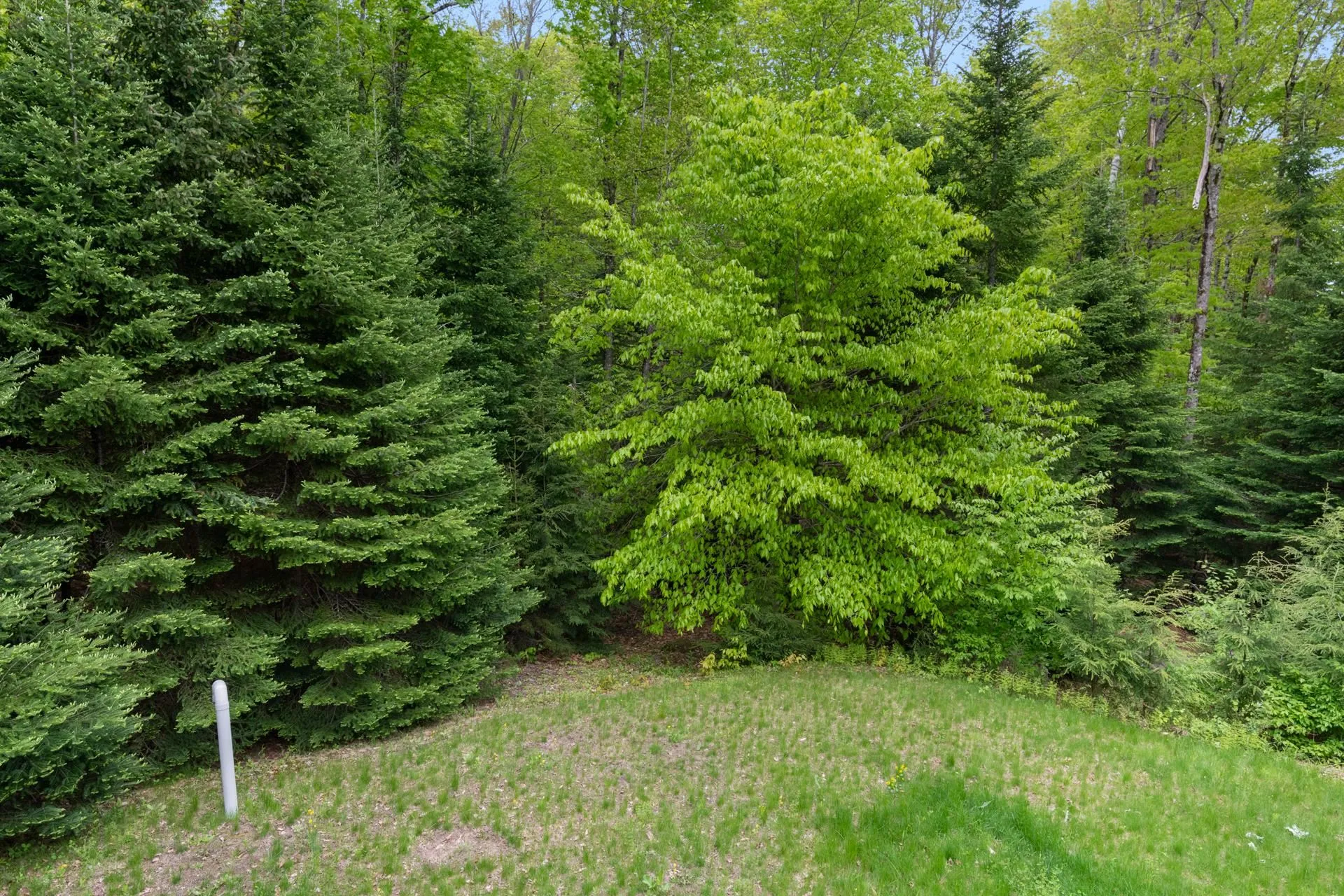 24 Wildwood Drive Grantham NH 03753