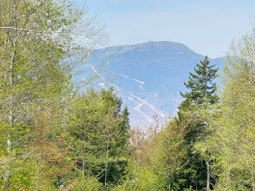 2366 Mountain Road Stowe VT 05672