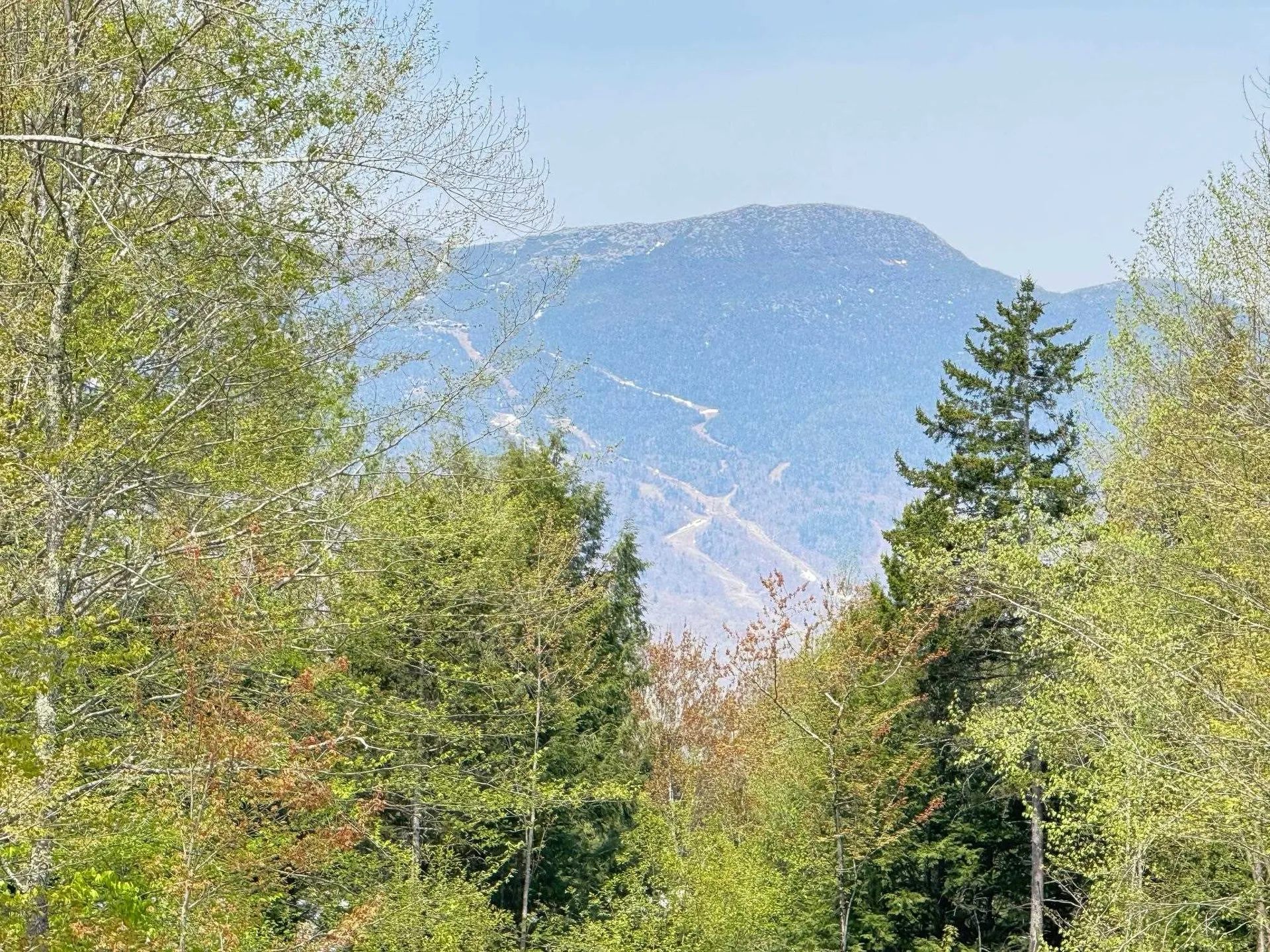 2366 Mountain Road Stowe VT 05672