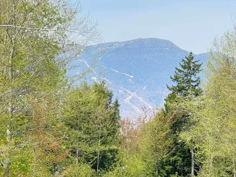 2366 Mountain Road Stowe VT 05672