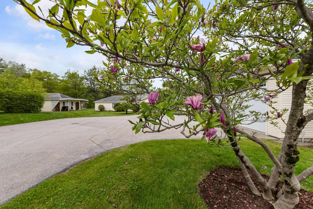 1 Mayhew Turnpike Bridgewater NH 03222