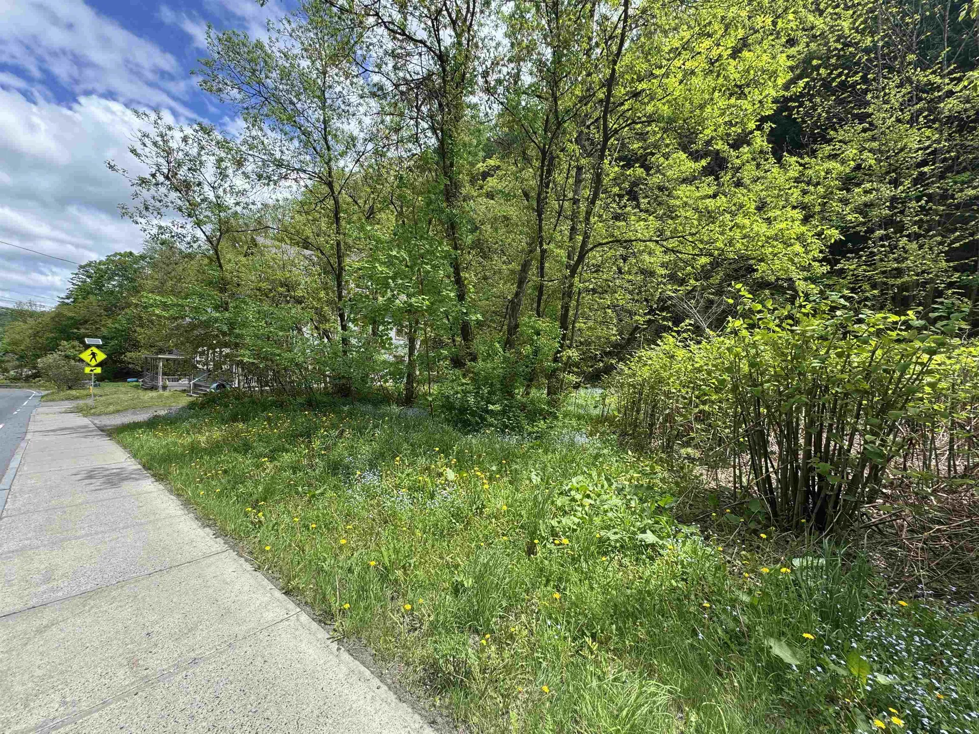 62 Northfield Street Montpelier VT 05602