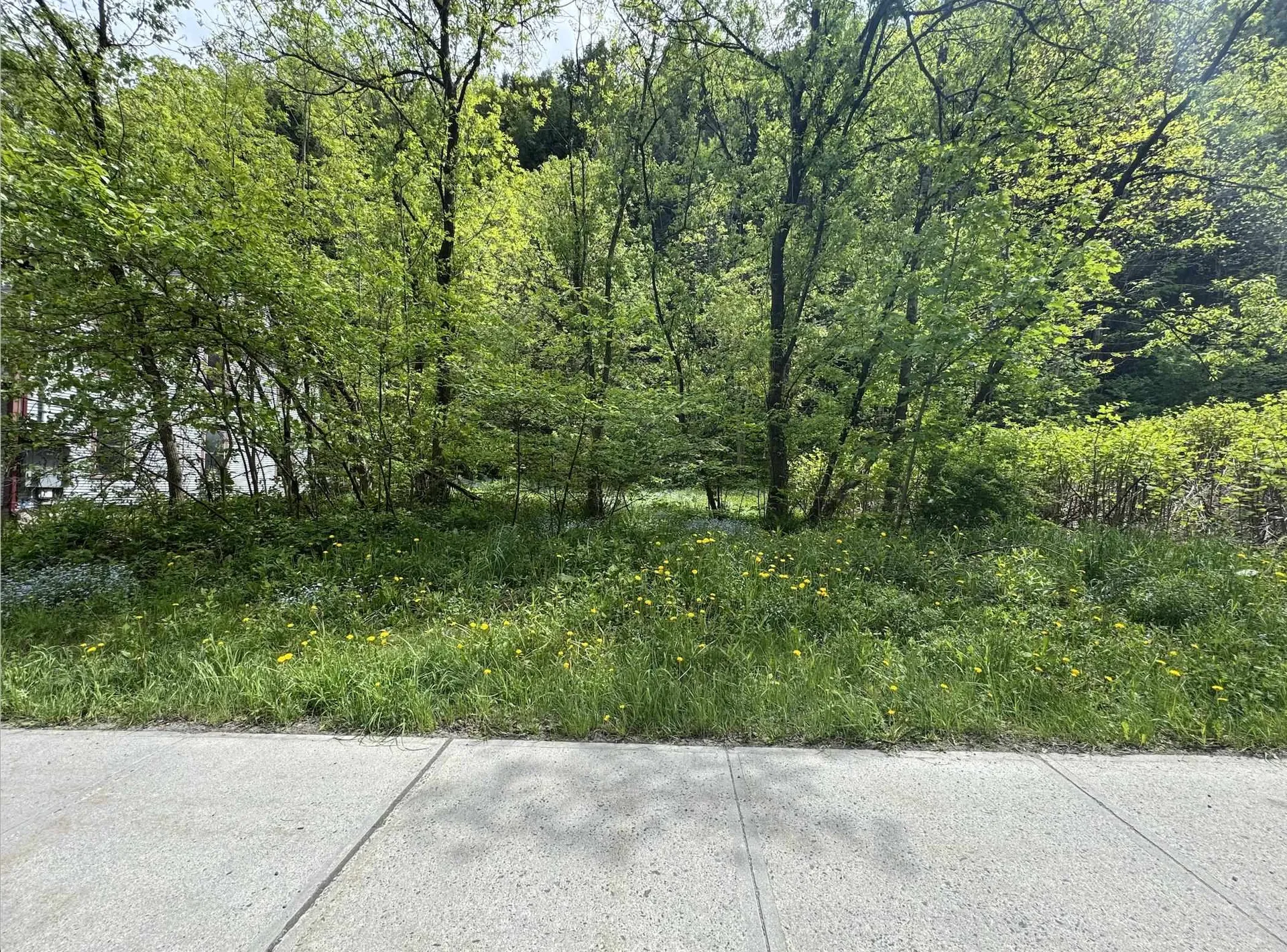 62 Northfield Street Montpelier VT 05602