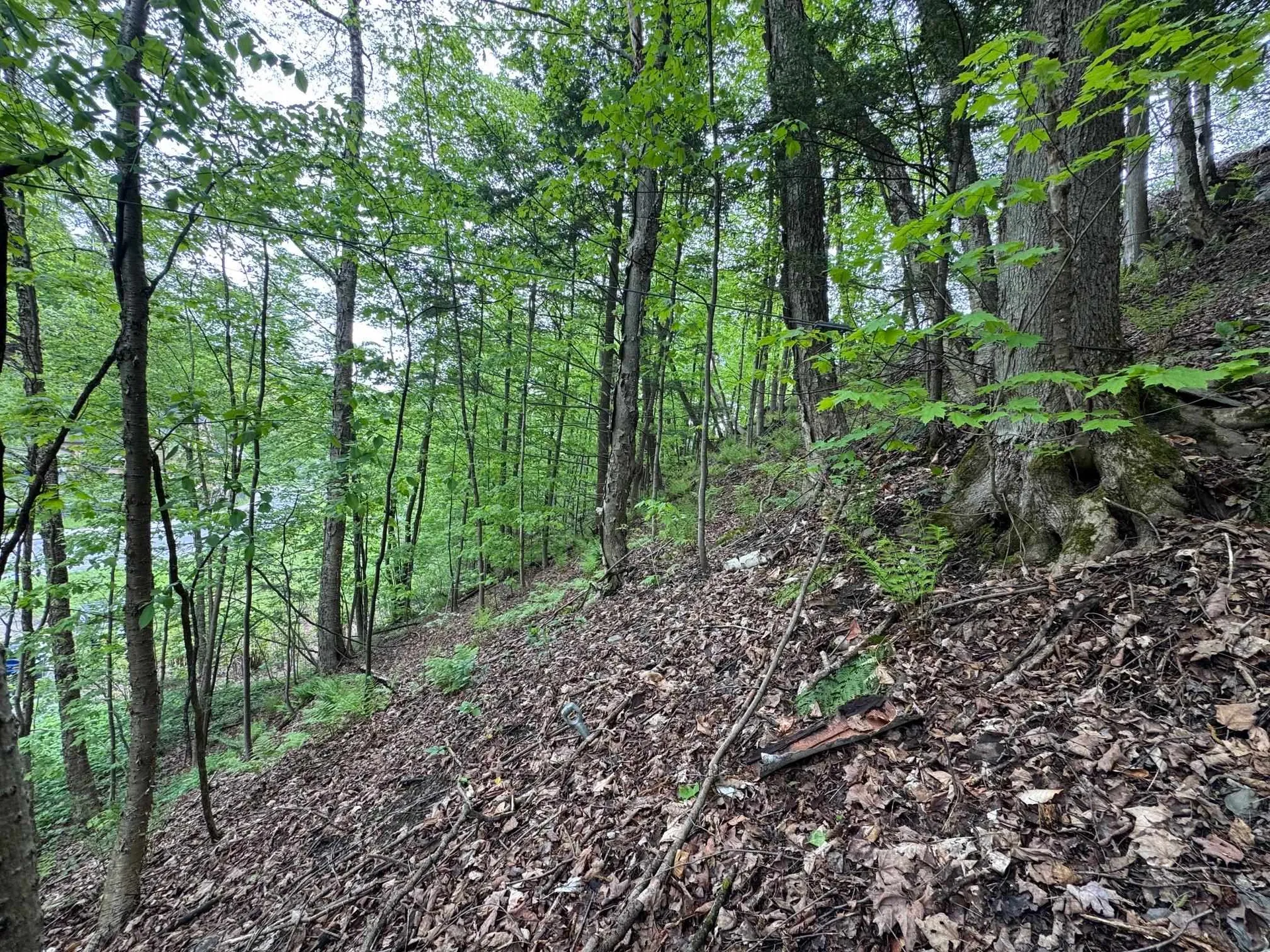 62 Northfield Street Montpelier VT 05602