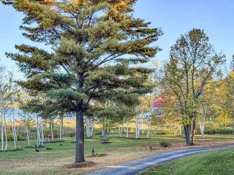 57 Farrants Point Newport City VT 05855