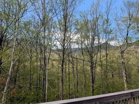 10-3 Kernwood Drive Lincoln NH 03251