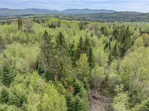 Lot 7 Holden Hill Road Stewartstown NH 03576