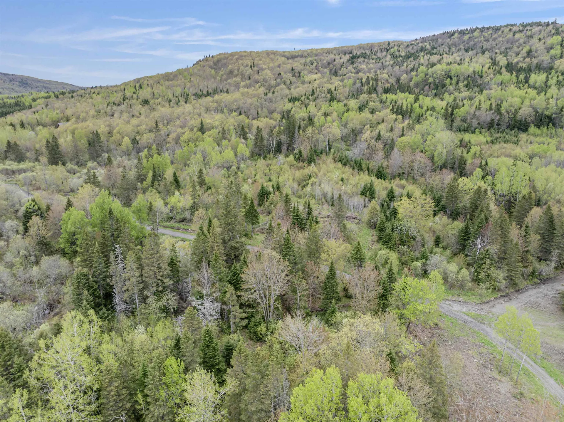Lot 8 Holden Hill Road Stewartstown NH 03576