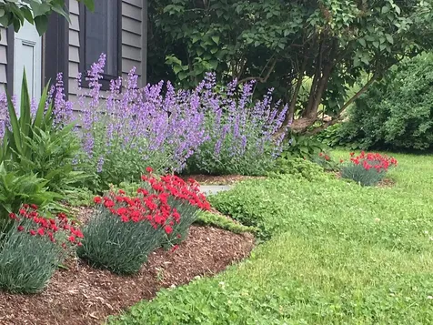 1186 Pucker Street Stowe VT 05672