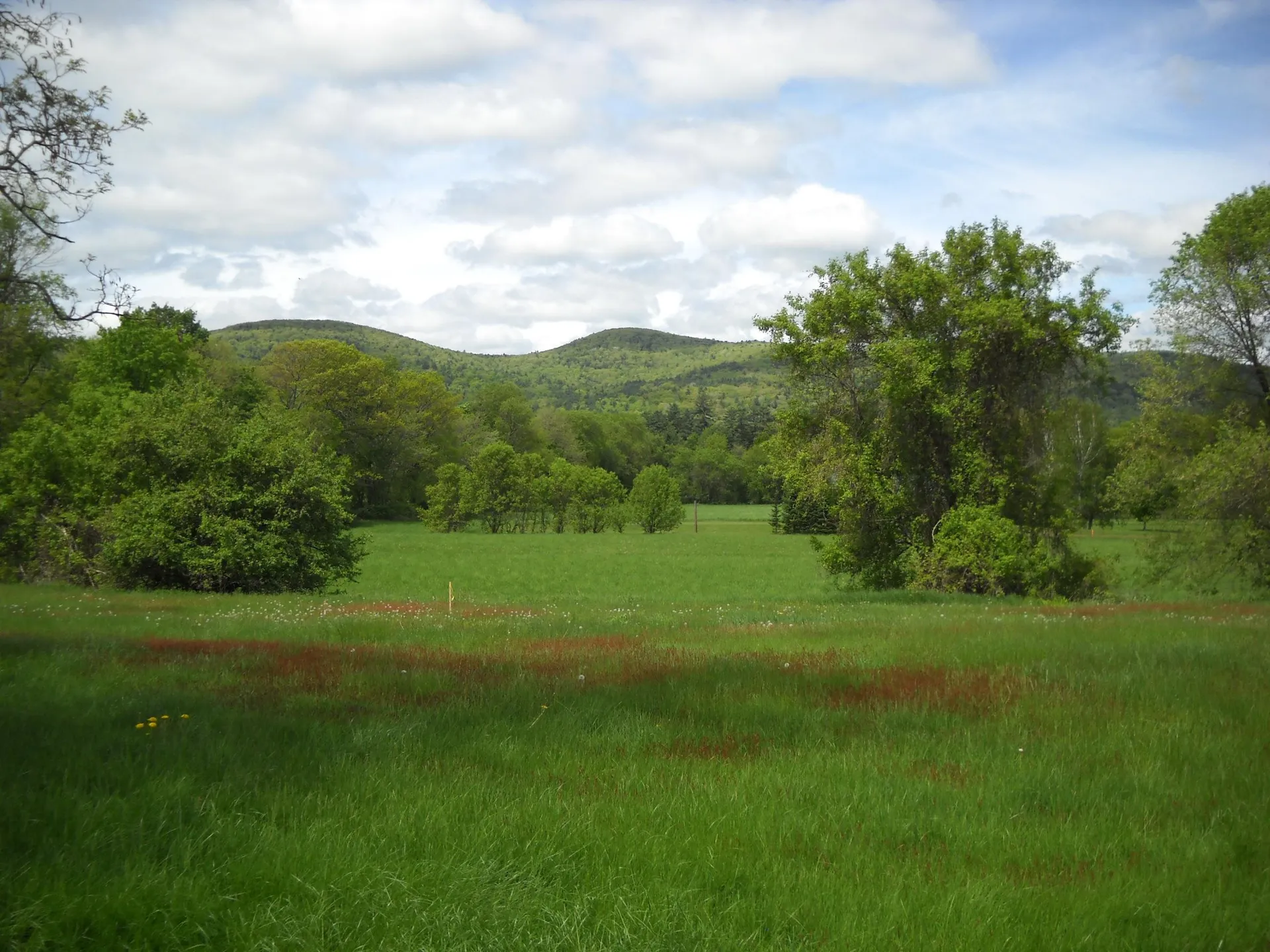 00 Route 10 Orford NH 03777