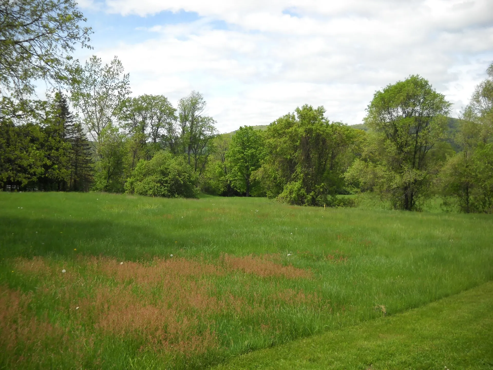 00 Route 10 Orford NH 03777