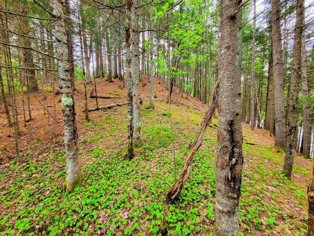 1088 Vt-105 Bloomfield VT 05905