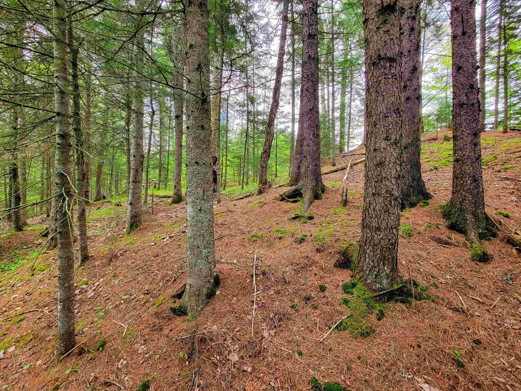 1088 Vt-105 Bloomfield VT 05905