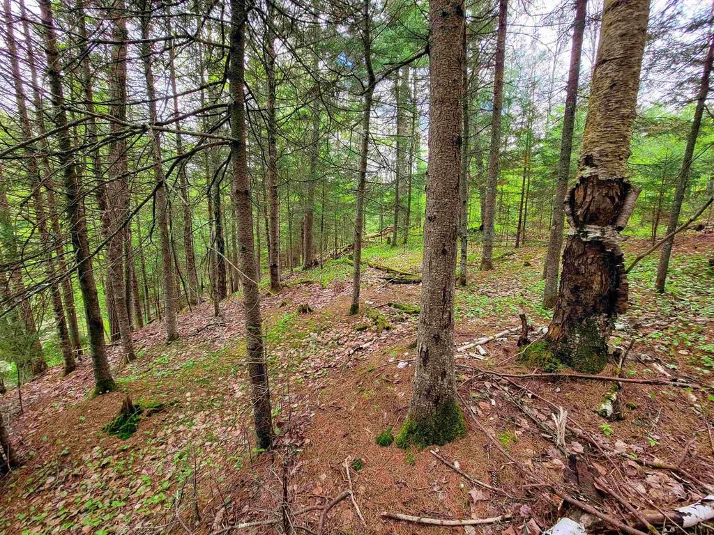 1088 Vt-105 Bloomfield VT 05905