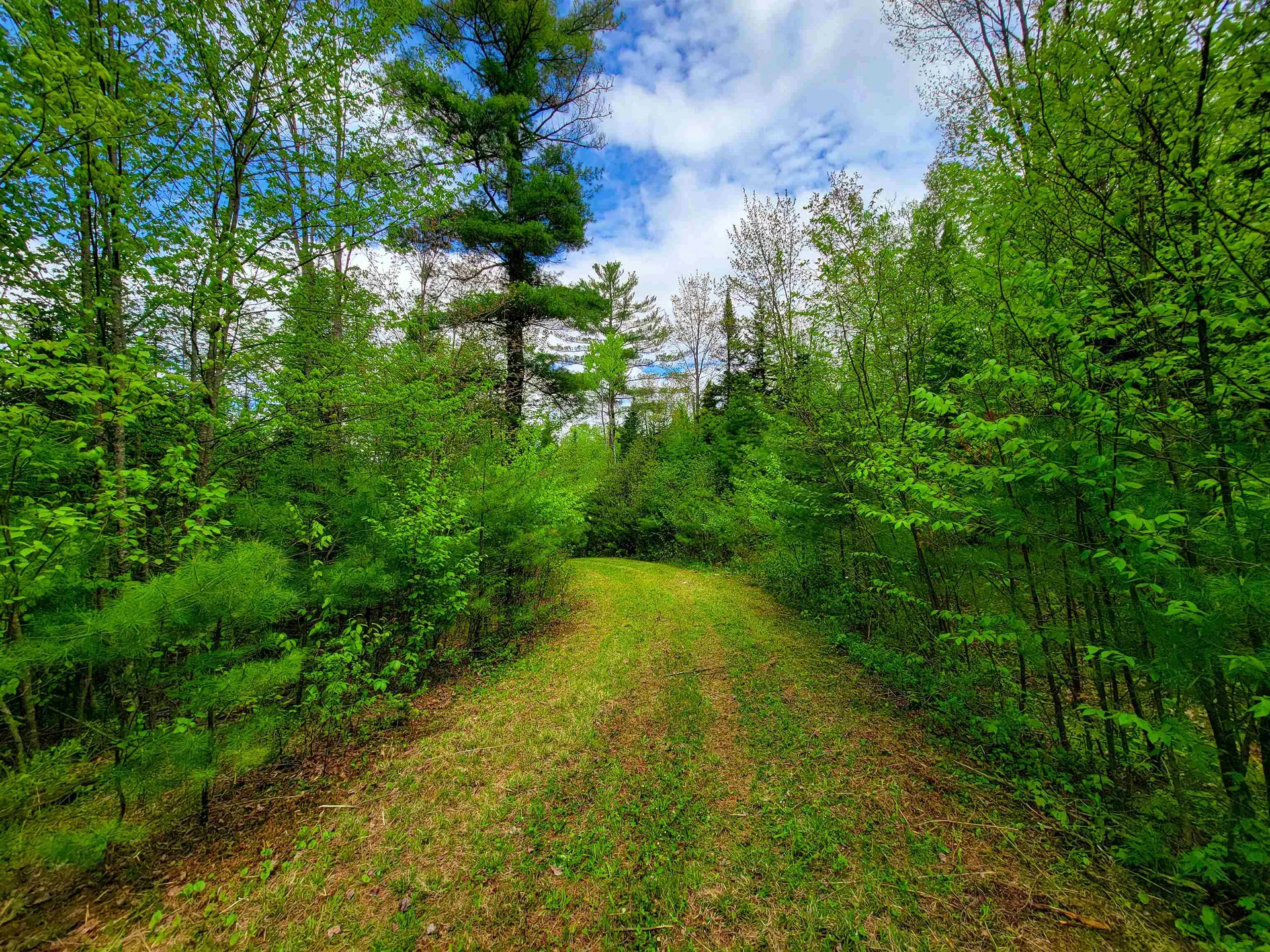 1088 Vt-105 Bloomfield VT 05905