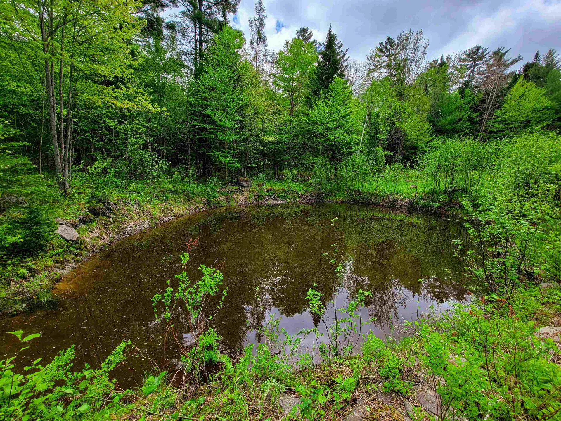 1088 Vt-105 Bloomfield VT 05905