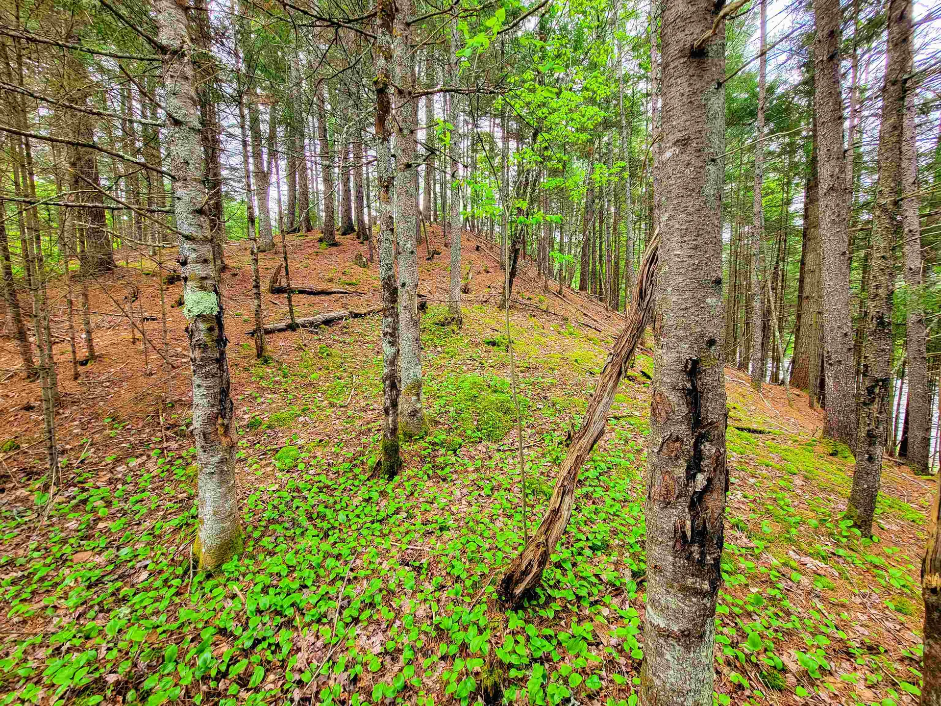 1088 Vt-105 Bloomfield VT 05905