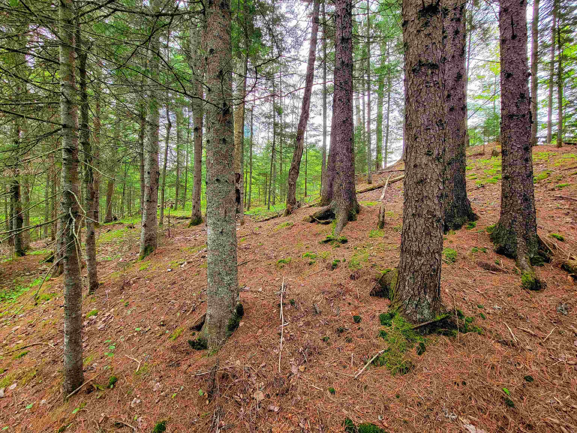 1088 Vt-105 Bloomfield VT 05905