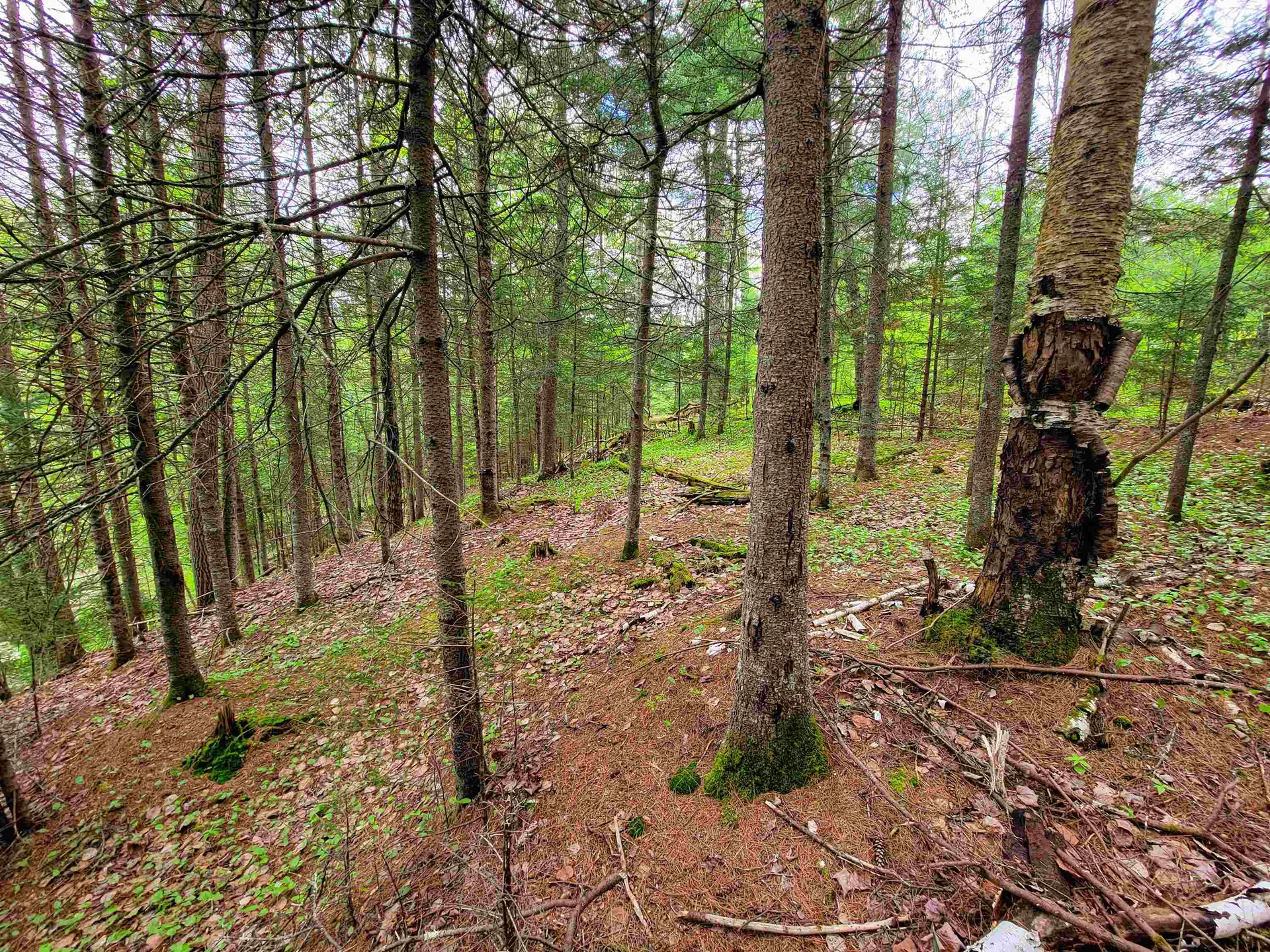 1088 Vt-105 Bloomfield VT 05905