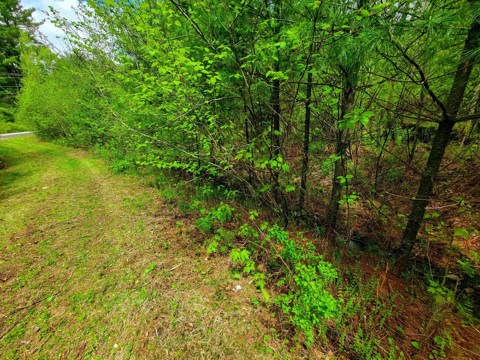 1088 Vt-105 Bloomfield VT 05905