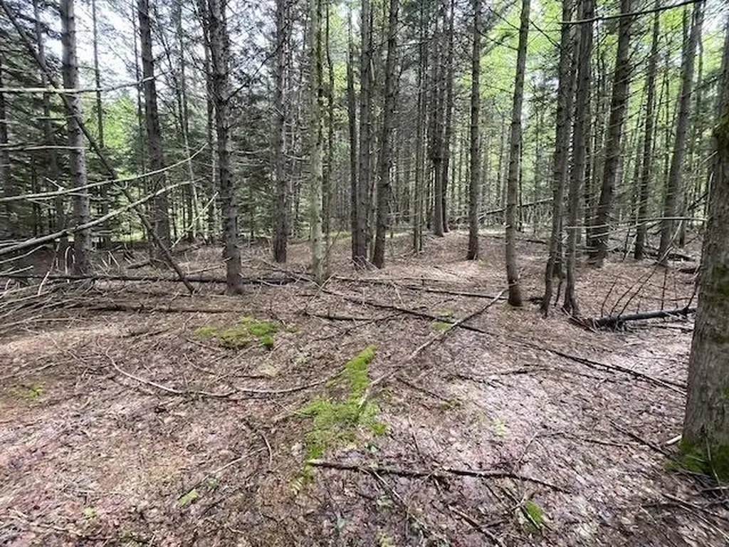 0 Honeycomb Hill Marlboro VT 05344