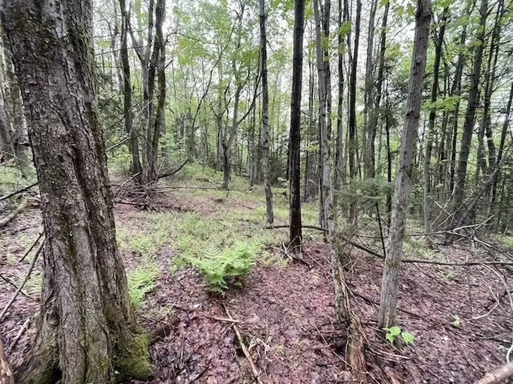 0 Honeycomb Hill Marlboro VT 05344