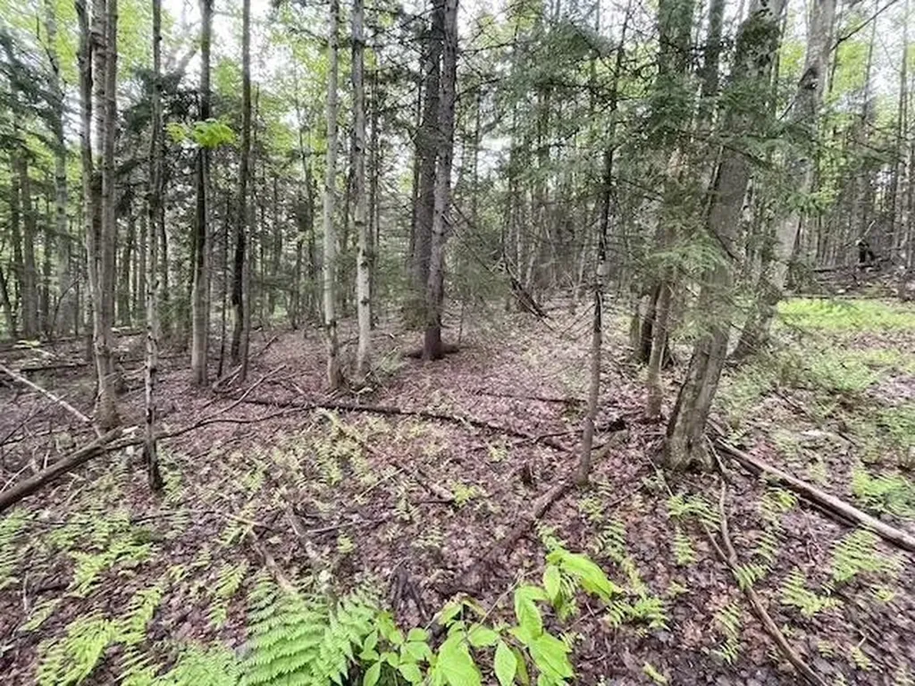 0 Honeycomb Hill Marlboro VT 05344