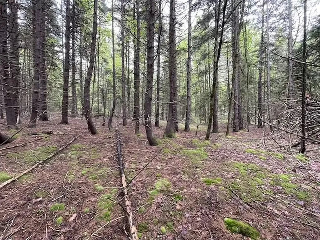 0 Honeycomb Hill Marlboro VT 05344