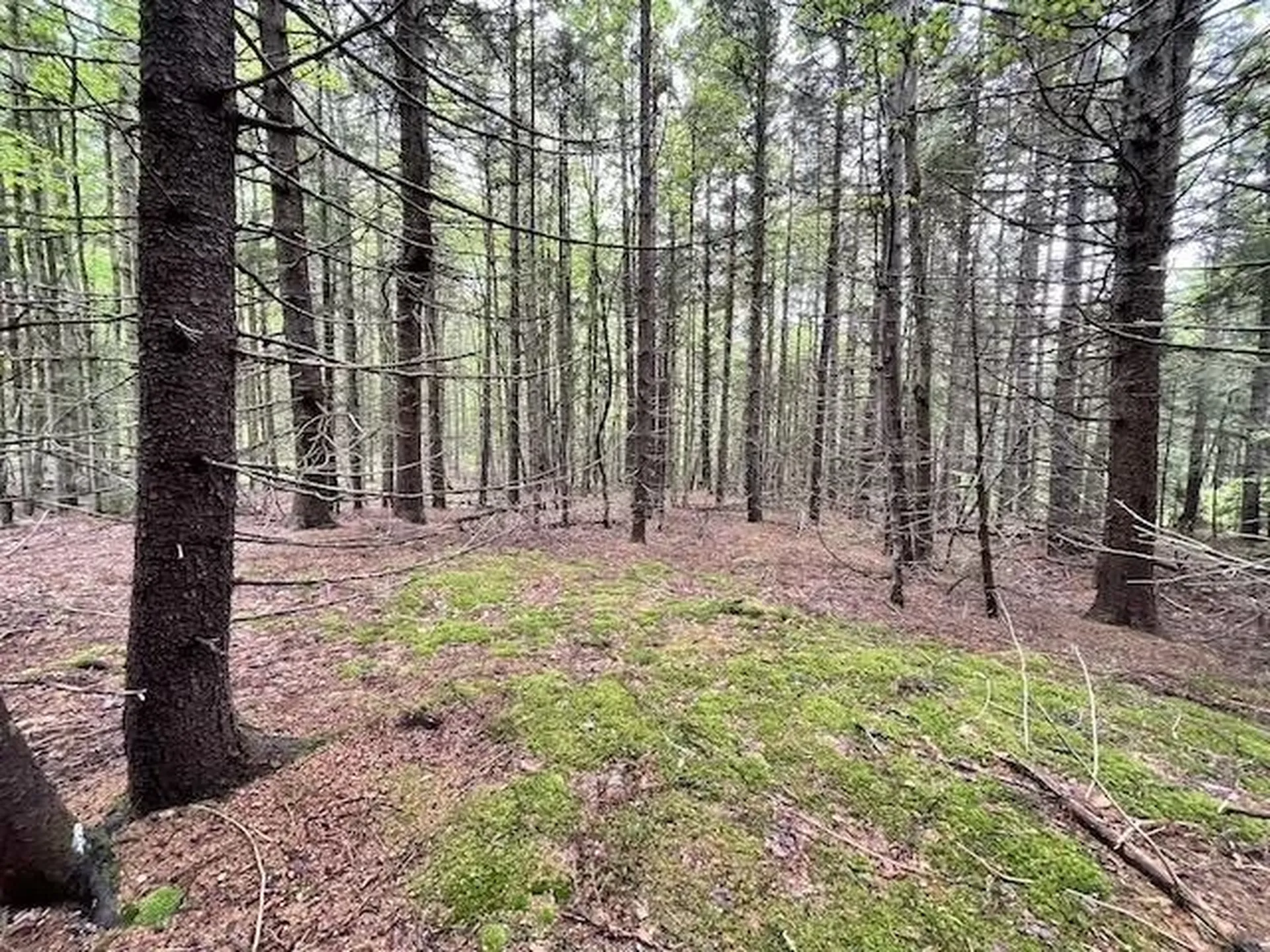 0 Honeycomb Hill Marlboro VT 05344