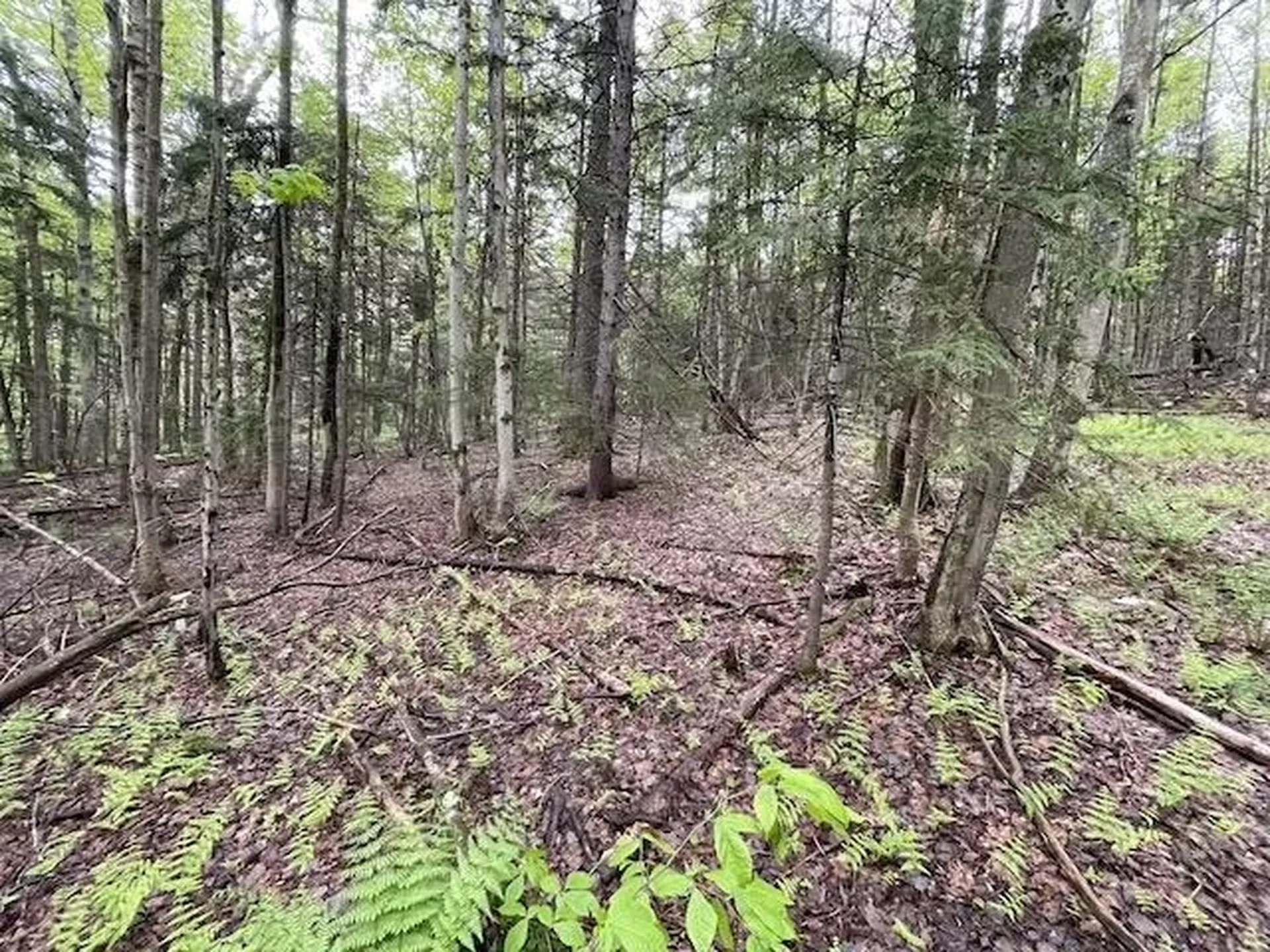 0 Honeycomb Hill Marlboro VT 05344