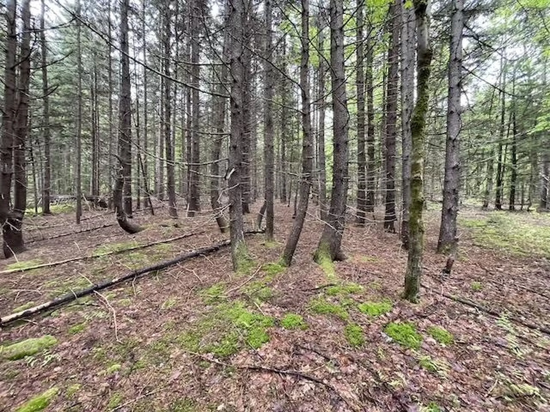 0 Honeycomb Hill Marlboro VT 05344