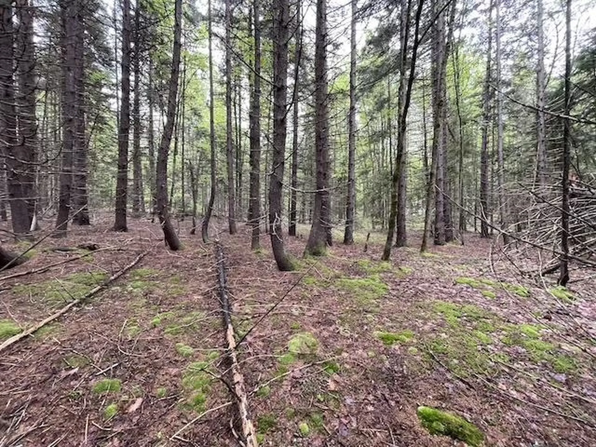 0 Honeycomb Hill Marlboro VT 05344